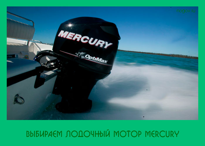 Лодочные моторы российского производства: преимущества и недостатки