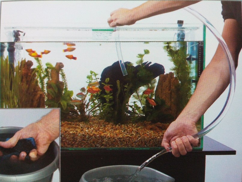 Использовать воду для аквариума