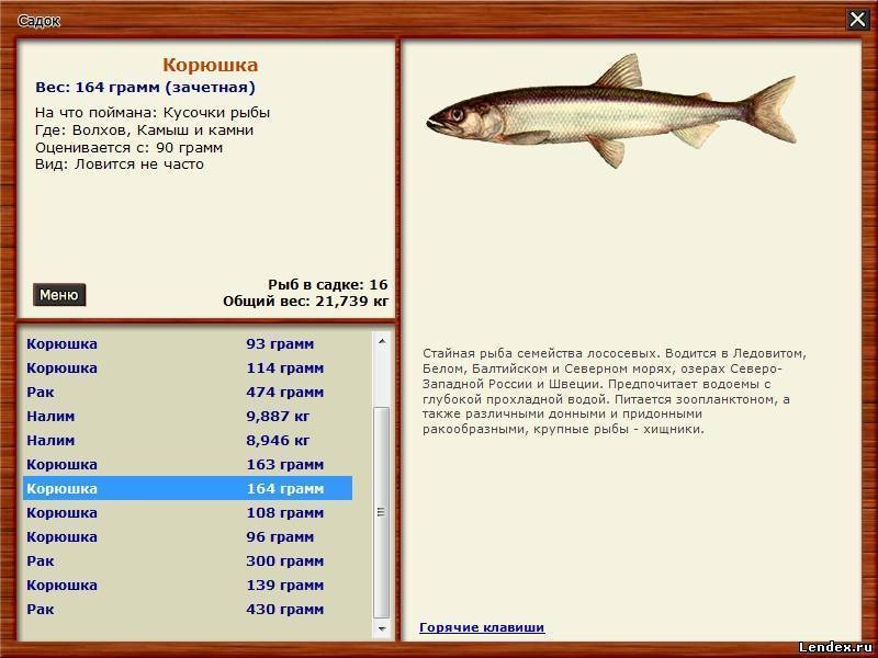 ✅ ночная рыбалка на омуля, байкал - fishingopt.su
