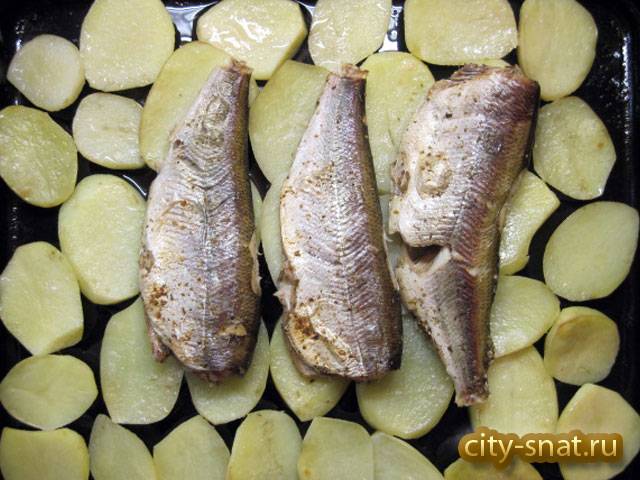 Пелядь (рыба) в духовке