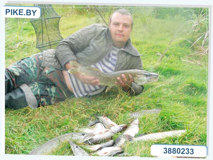 Рыбалка на Припяти – лучшее место для ловли рыб в Беларуси