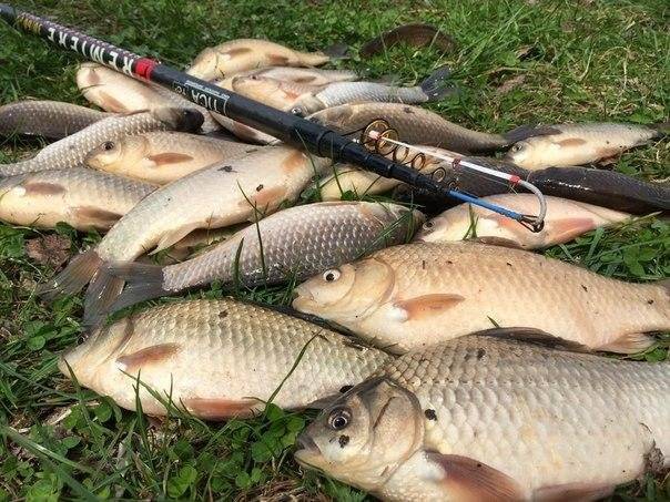 Рыбалка в мае