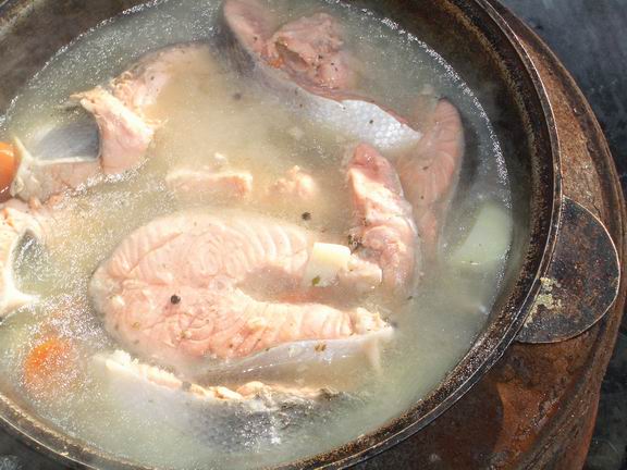 Уха из налима — домашние рецепты вкуснейшего блюда