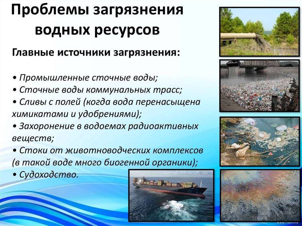 Рыбалка в Новороссийске и окрестностях