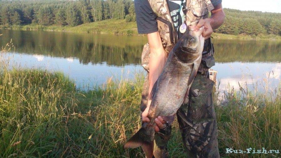 Рыбалка в машково люберецкого района: особенности ловли, какая рыба водится