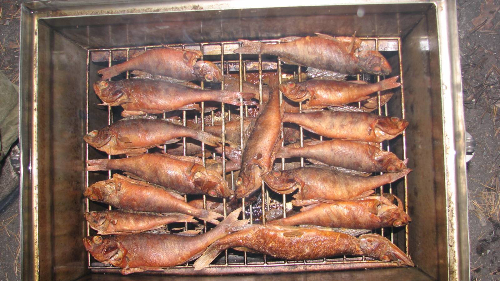 Копчение лосося: подготовка и маринад, рецепты холодного и горячего методов