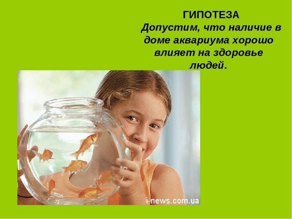 Аквариум : влияние аквариума на здоровье человека