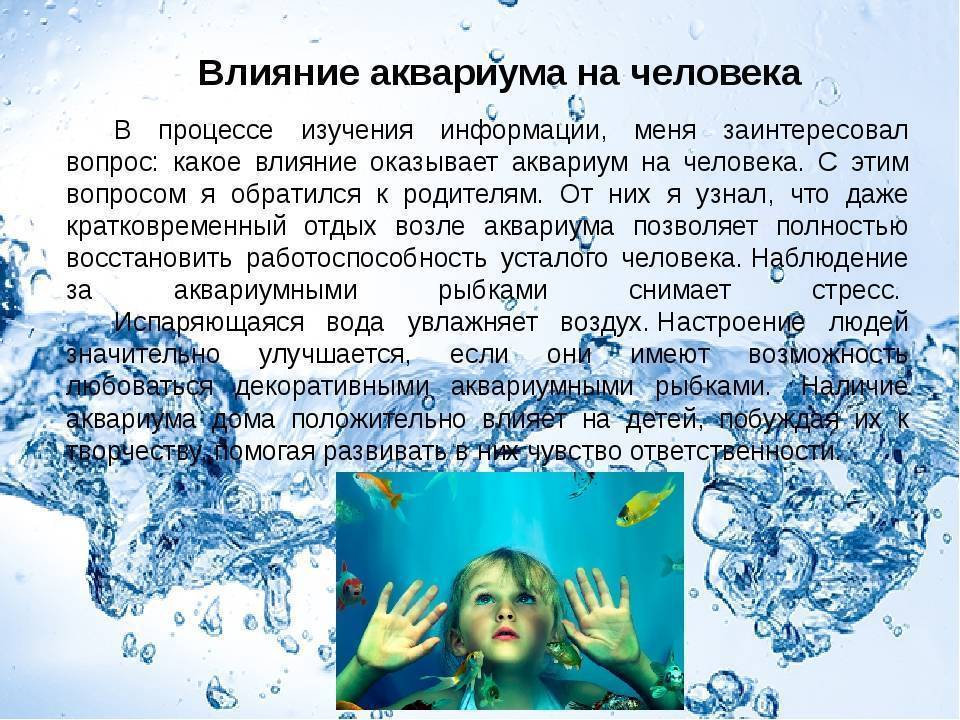 Аквариум в квартире: польза и вред для здоровья
аквариум в квартире: польза и вред для здоровья