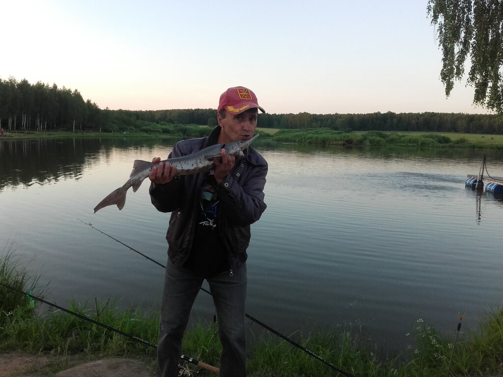 Рыбалка в высоково на крх мосфишер, чеховский район подмосковья