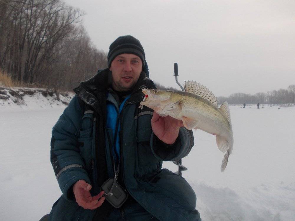 Школа рыбалки. Ловля чебака зимой на Оби. Рыбалка зимой на ОВХ Новосибирск. Где найти на реке судака зимой.