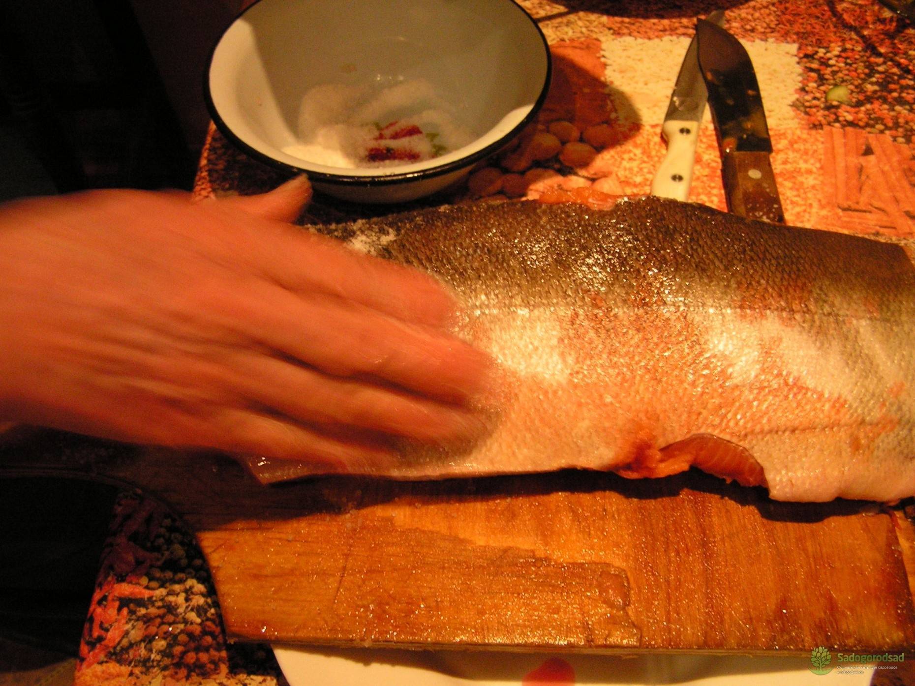 Как быстро и вкусно засолить красную рыбу в домашних условиях — правильные рецепты