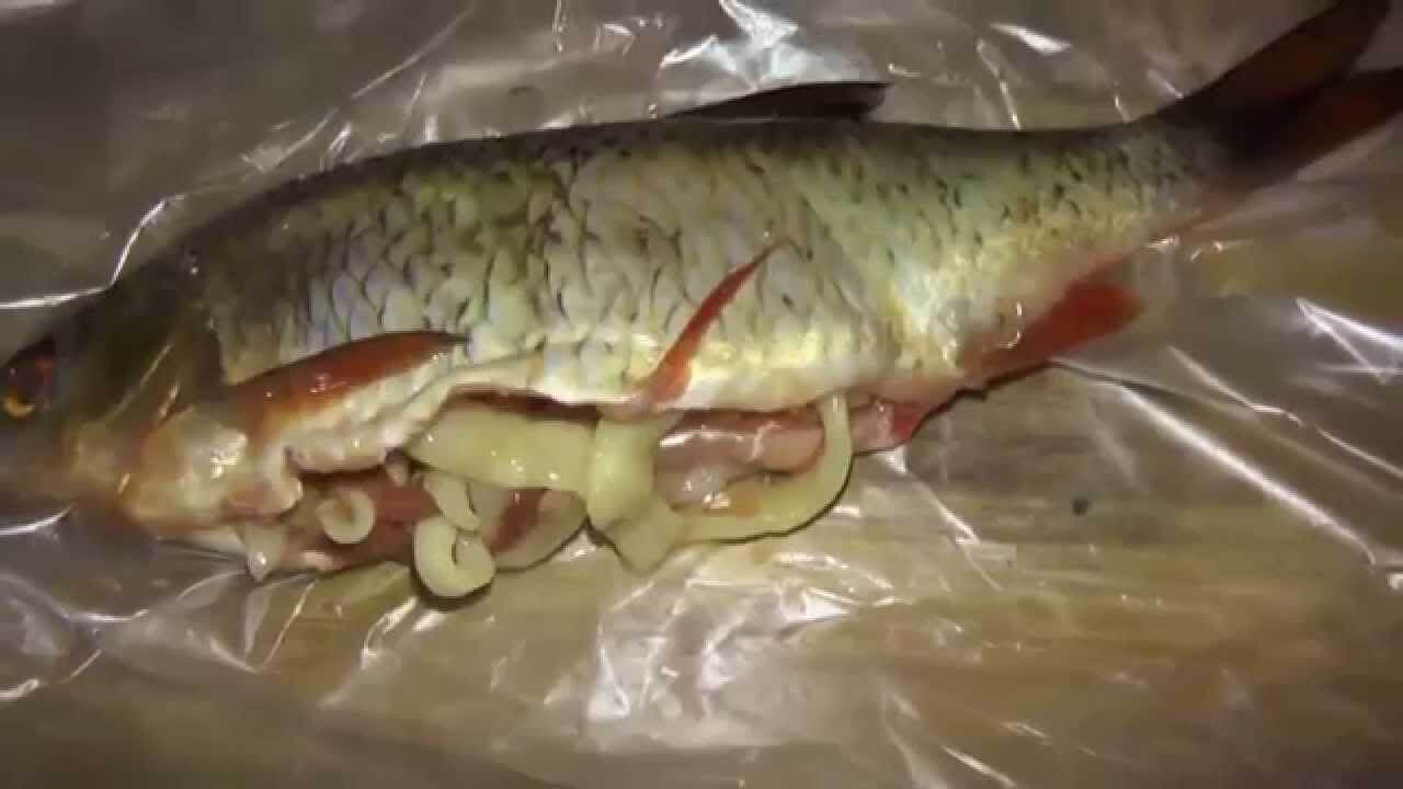 Глисты в рыбе: какие бывают, можно ли есть и что делать?