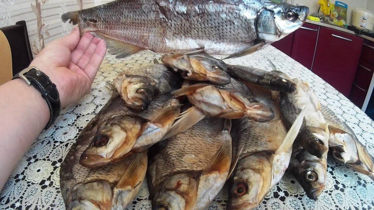 Как вялить рыбу в домашних условиях