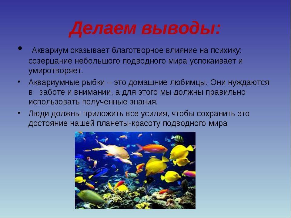 Ситуация хелп: как пандемия повлияла на психологическое здоровье людей и какими будут последствия изоляции