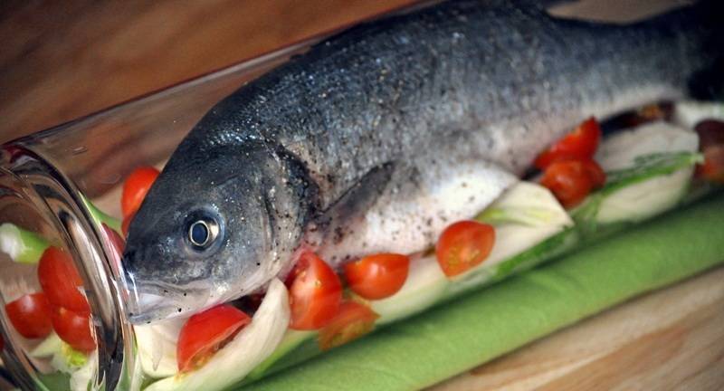 Промысловая рыба сибас