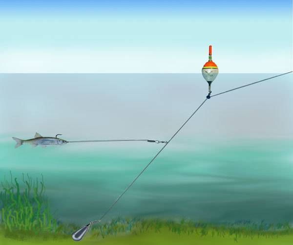 Рыбалка на черном море