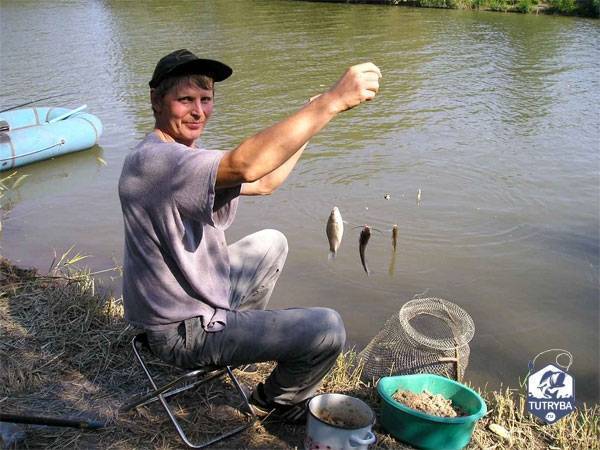 Рыбалка в ростове-на-дону — лучшие рыболовные базы в ростовской области, как ловить весной