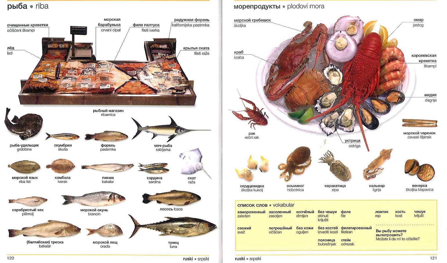 Рыба морская названия с картинками для еды