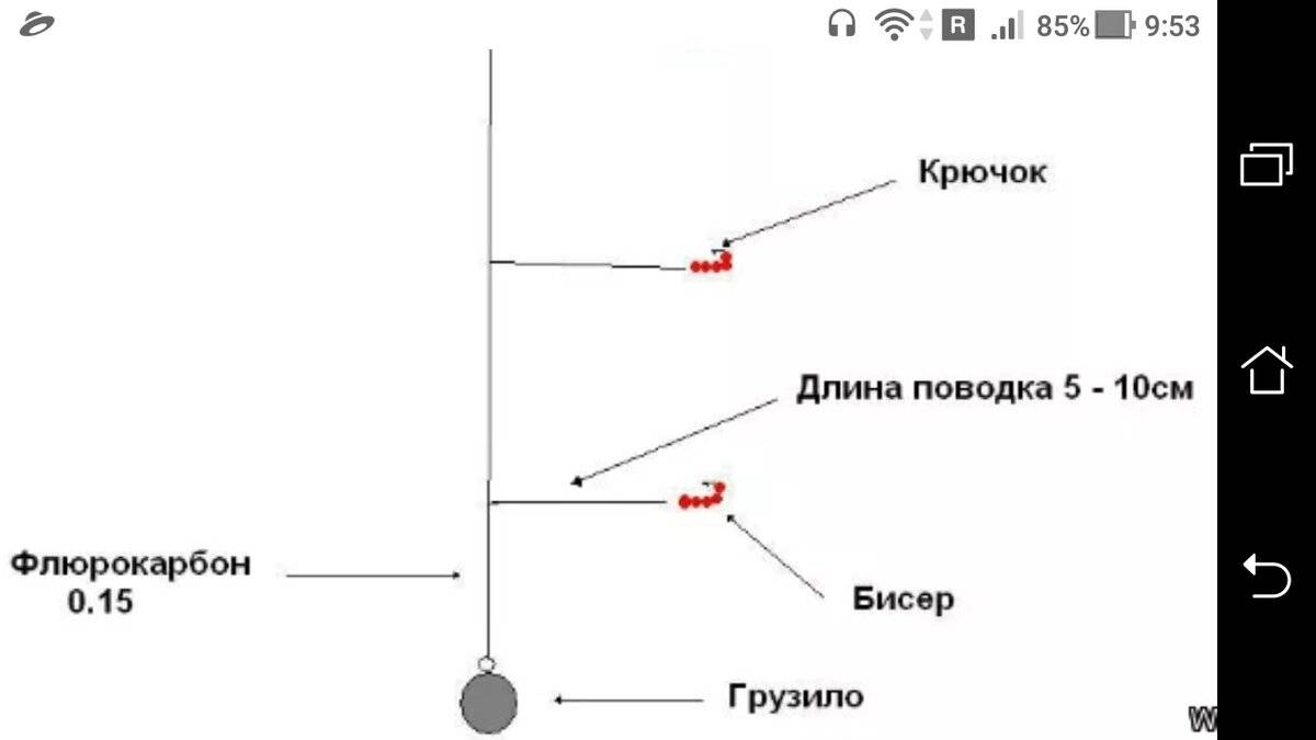 Снасть на воблу в астрахани