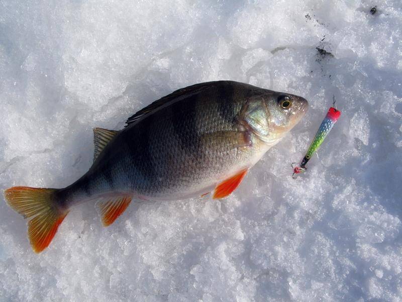 Календарь рыболова на февраль