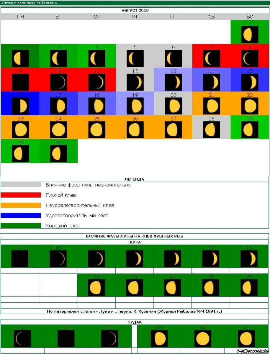 Луна фаза клев. Влияние лунных фаз на клев рыбы. Влияние Луны на клев рыбы. Зависимость клева от фазы Луны. Влияние фаз Луны на клев рыбы.