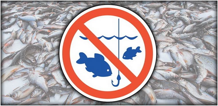 Новый закон о любительской рыбалке в 2022 году
