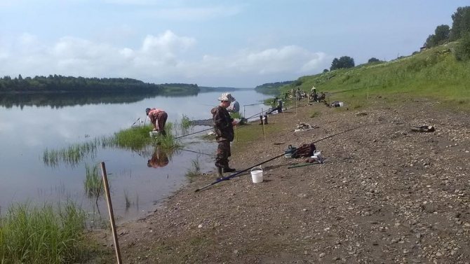 Рыбалка в новосибирской области — водоемы, снасти, тактика
