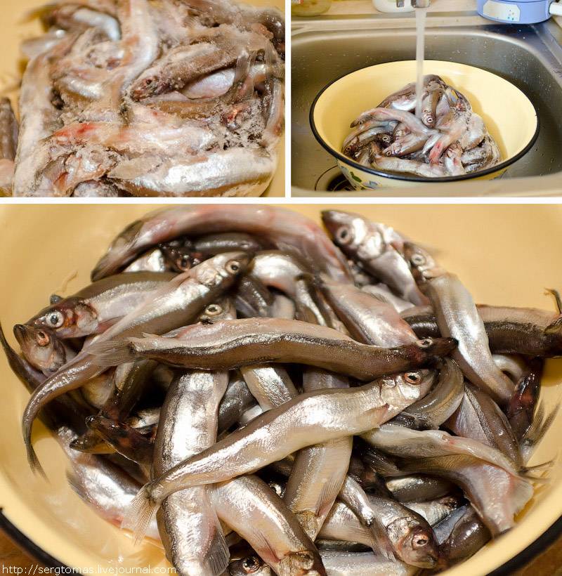 Как быстро разморозить рыбу и не испортить продукт?