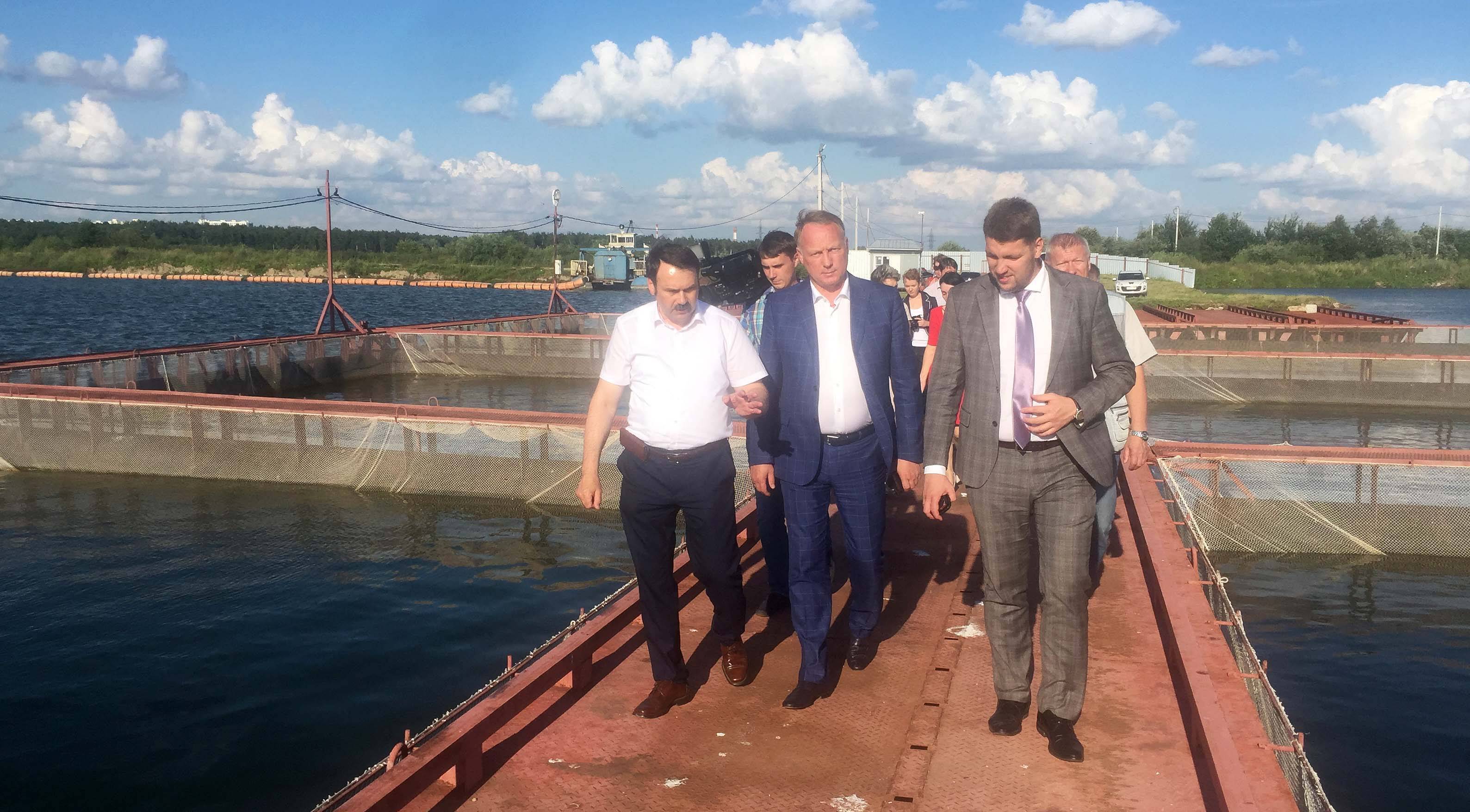 Бисерово озеро, московская область — рыбалка 2022, отдых, отзывы, фото, где находится, на карте, как доехать