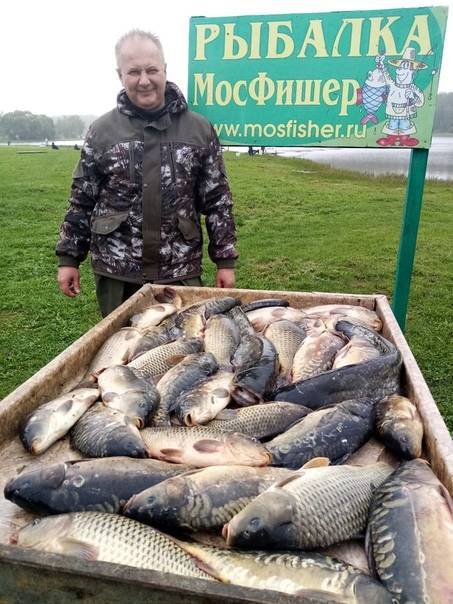 Триал русская рыбалка в чеховском районе – суперулов – интернет-портал о рыбалке