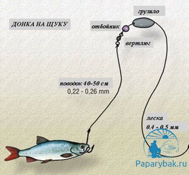 Как правильно сделать закидушку для рыбалки в домашних условиях? - суперулов - интернет-портал о рыбалке
