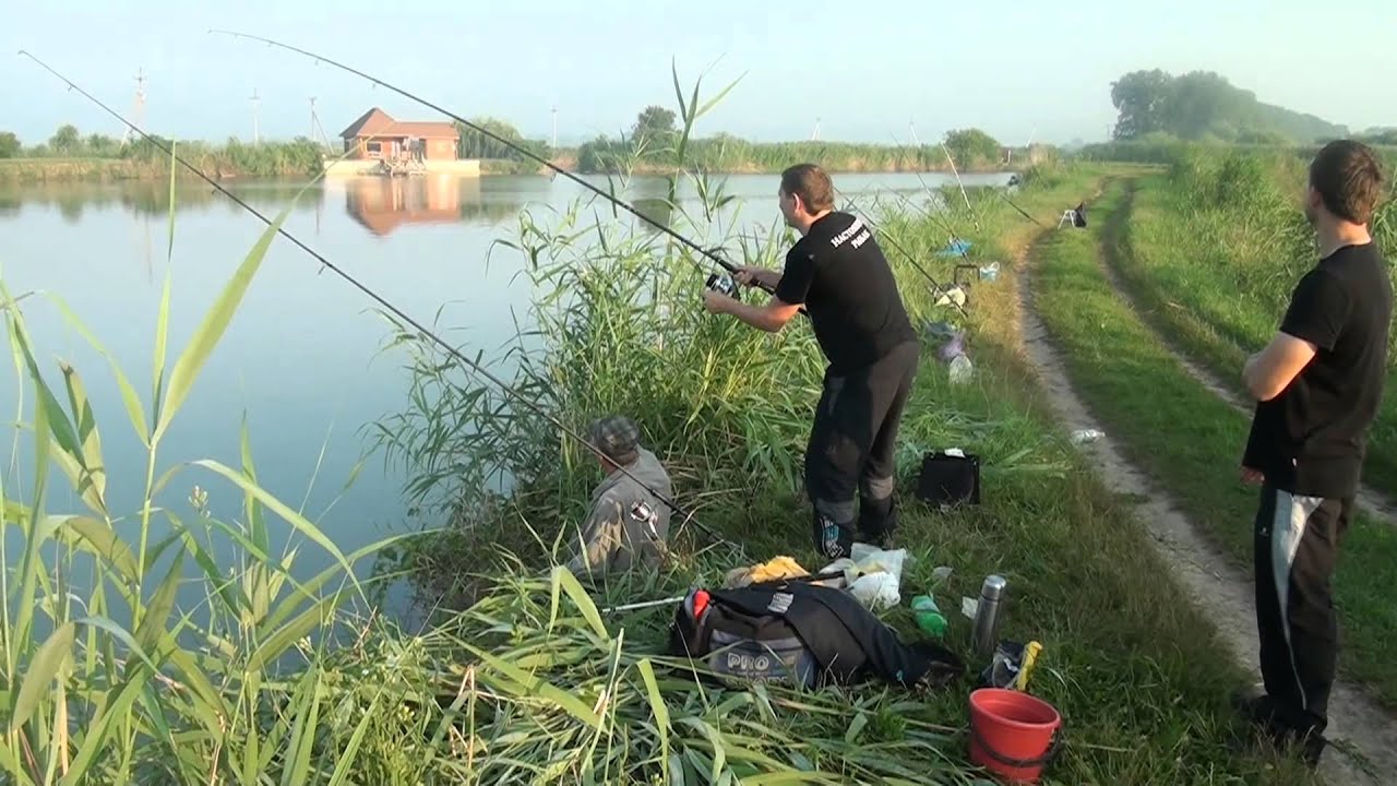 Рыбалка в краснодарском крае — тонкости туризма
