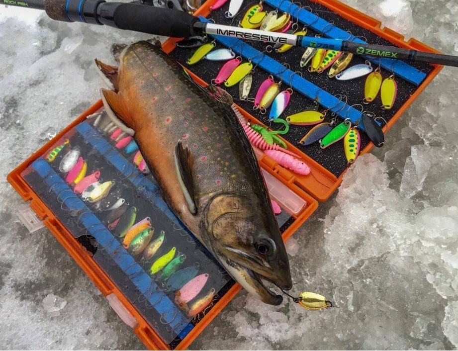 Рыбалка на сахалине: рыболовные туры и морская рыбалка, ловля палтуса, корюшки и другой рыбы на юге сахалина