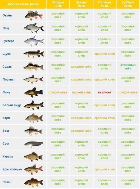 Милютинская - календарь рыболова. рыбалка в милютинской, график клёва рыбы.