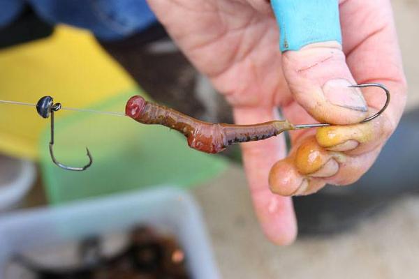 Как правильно насаживать червя на крючок?