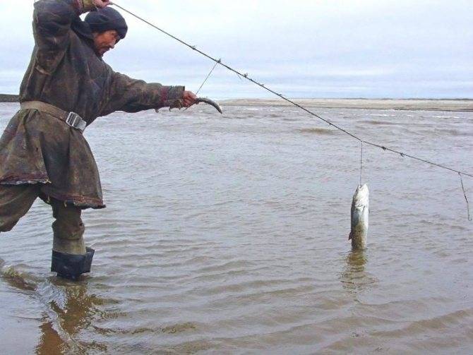 Полезные 15 советов (лайфхаков) для рыбалки, чтобы клёв был отменным
