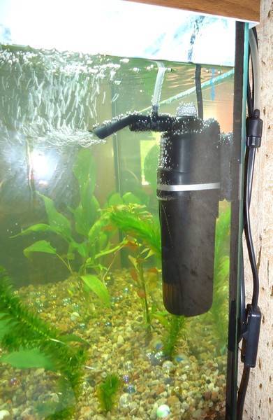 Правильная установка фильтра в аквариум (aquael, барбус): сборка, внешний фильтр для рыбок