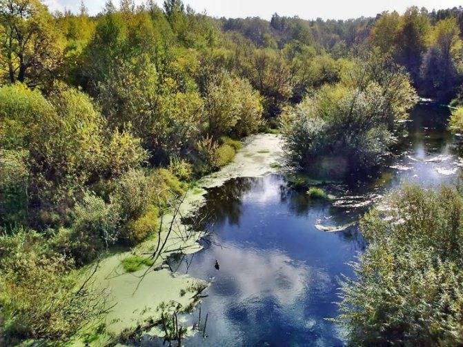 Набережная петрозаводска (онежского озера) фото, адрес, как добраться