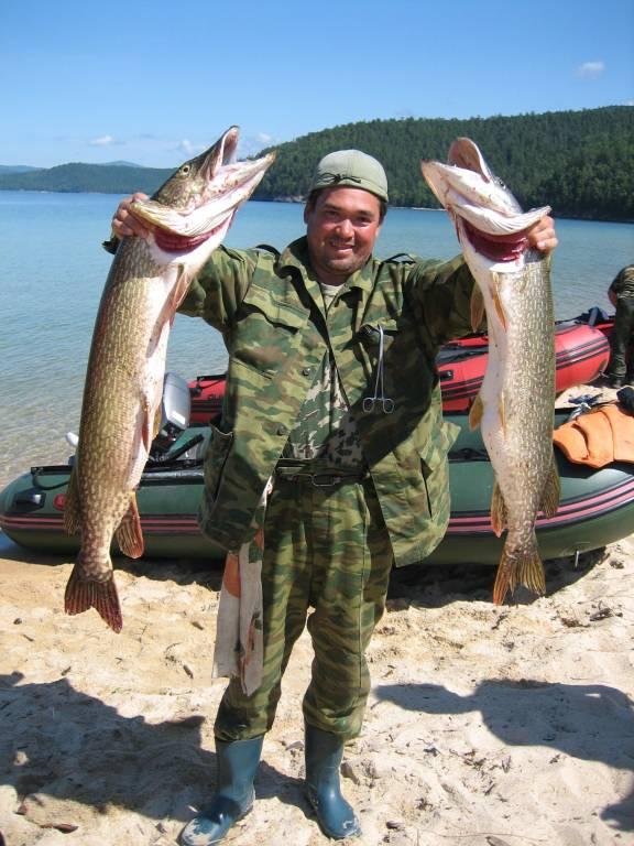 Рыбалка на щуку на озерах. Чивыркуйский залив рыбалка. Щука Байкал. Рыба в озере. Ловля рыбы на Байкале.