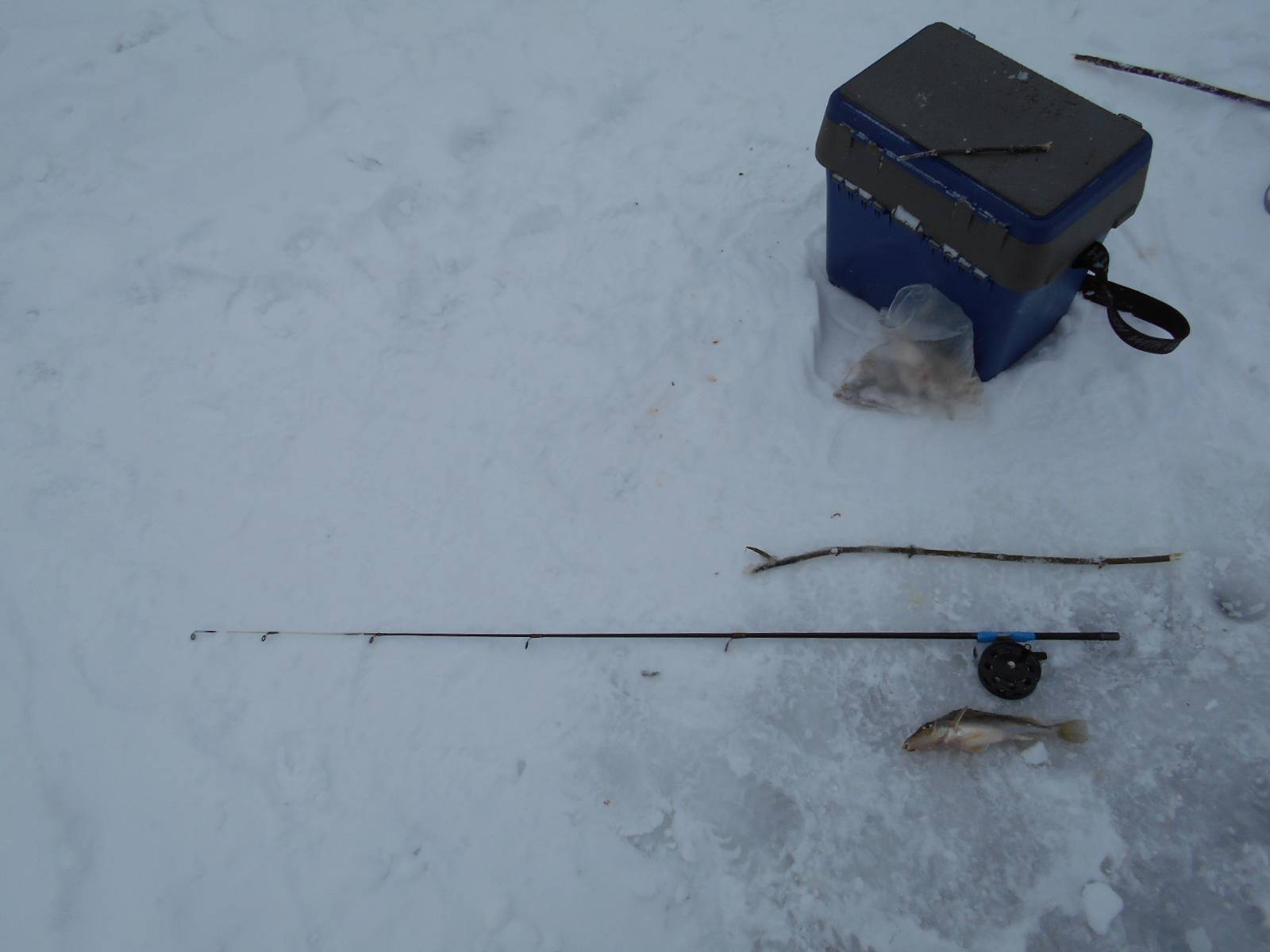 Ловля на покаток зимой, как собрать снасть потяг для зимней рыбалки своими руками, зимняя рыбалка на дурилку