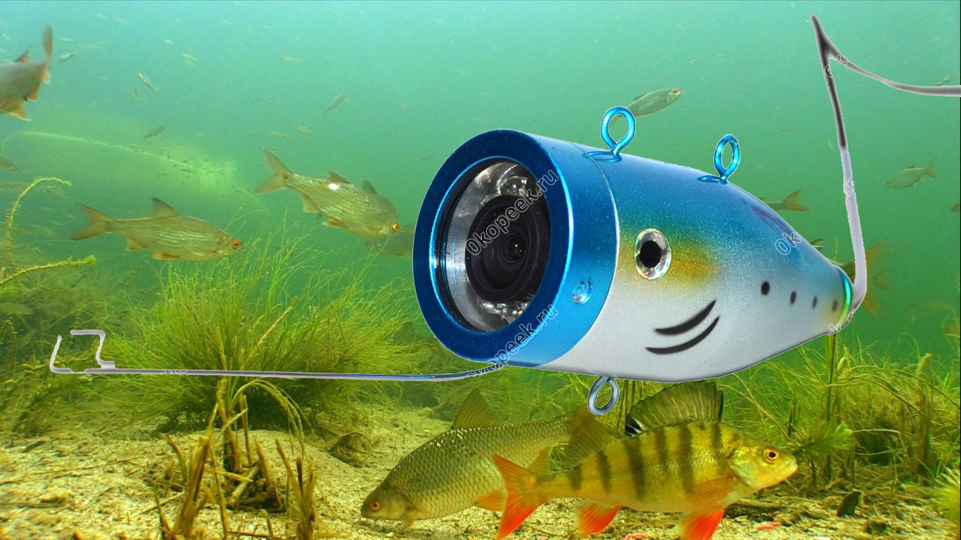 Подводные камеры для рыбалки