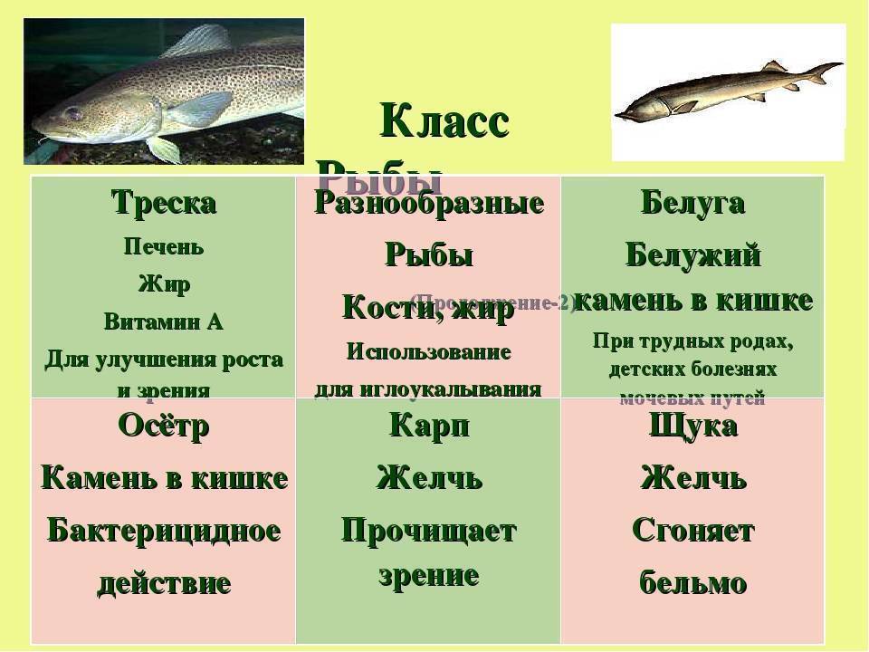 Тресковые породы рыб список