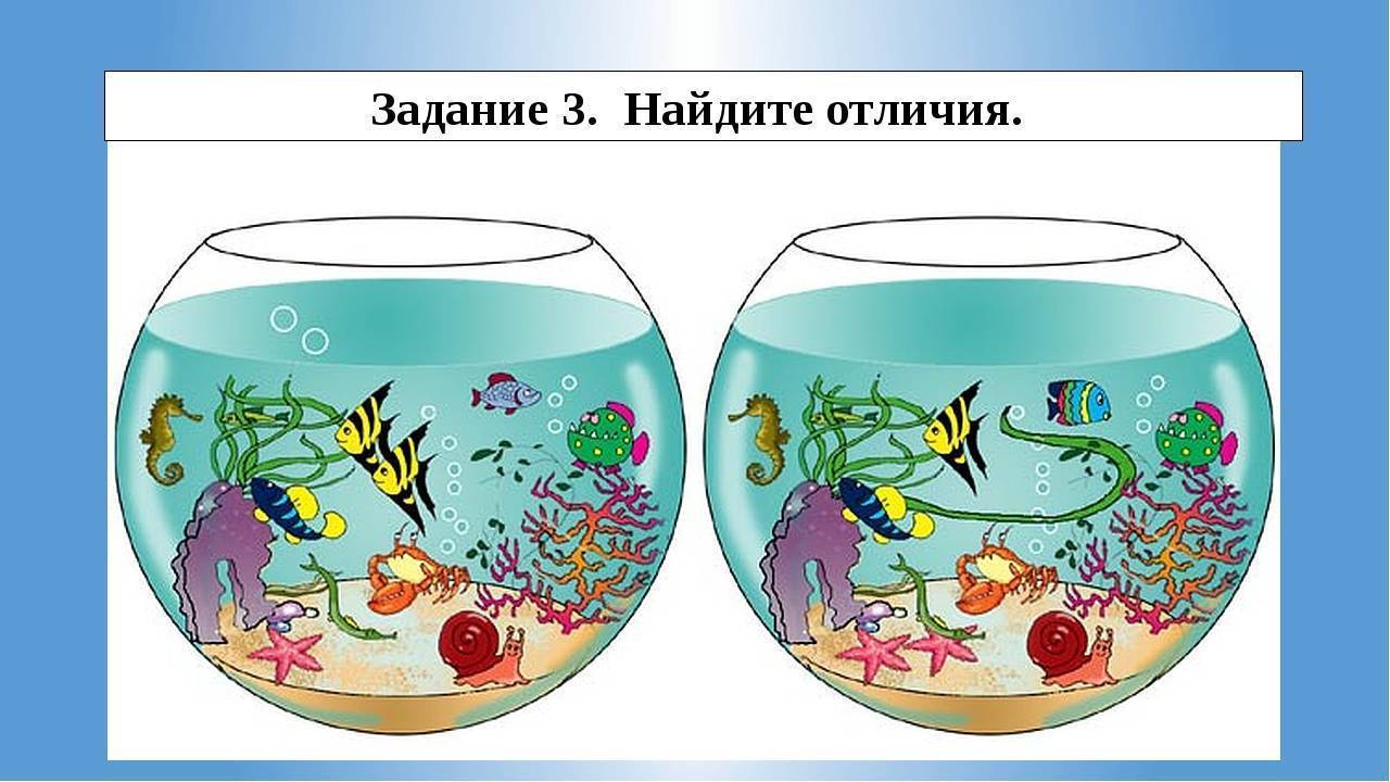 Занятие по рисованию . «рыбки плавают в аквариуме»для детей группы общеразвивающей направленности, в возрасте от 5 до 6 лет