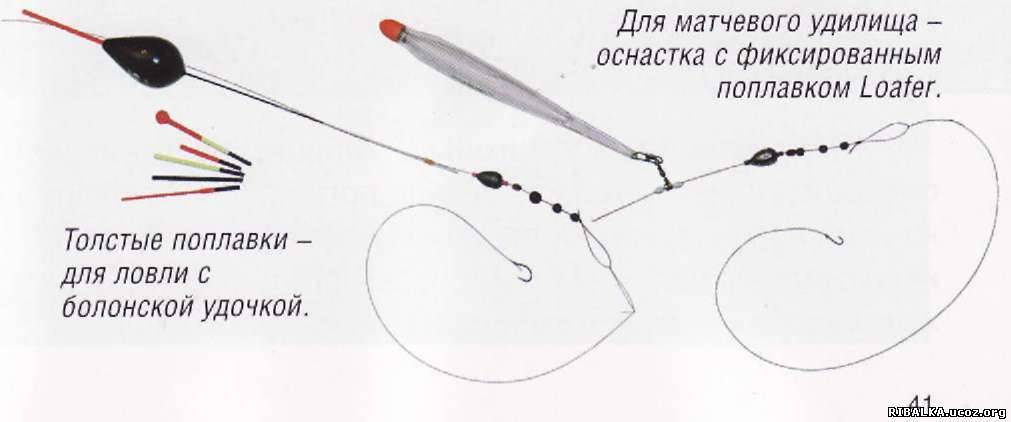 Что такое болонское удилище. Смотреть фото Что такое болонское удилище. Смотреть картинку Что такое болонское удилище. Картинка про Что такое болонское удилище. Фото Что такое болонское удилище