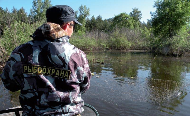 Река ветлуга на карте россии: описание, сплав и рыбалка