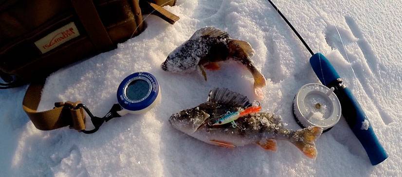 Снасти для зимней рыбалки какие есть снасти и что брать с собой на зимнюю рыбалку новичку. советы по выбору снастей
