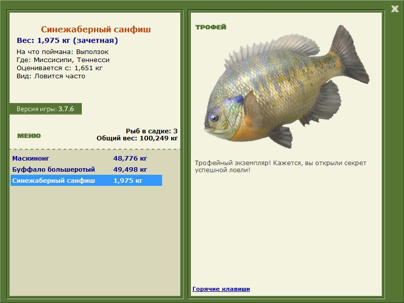 Морской окунь: польза и вред, описание рыбы и советы как приготовить, разновидности морского окуня, 90 фото