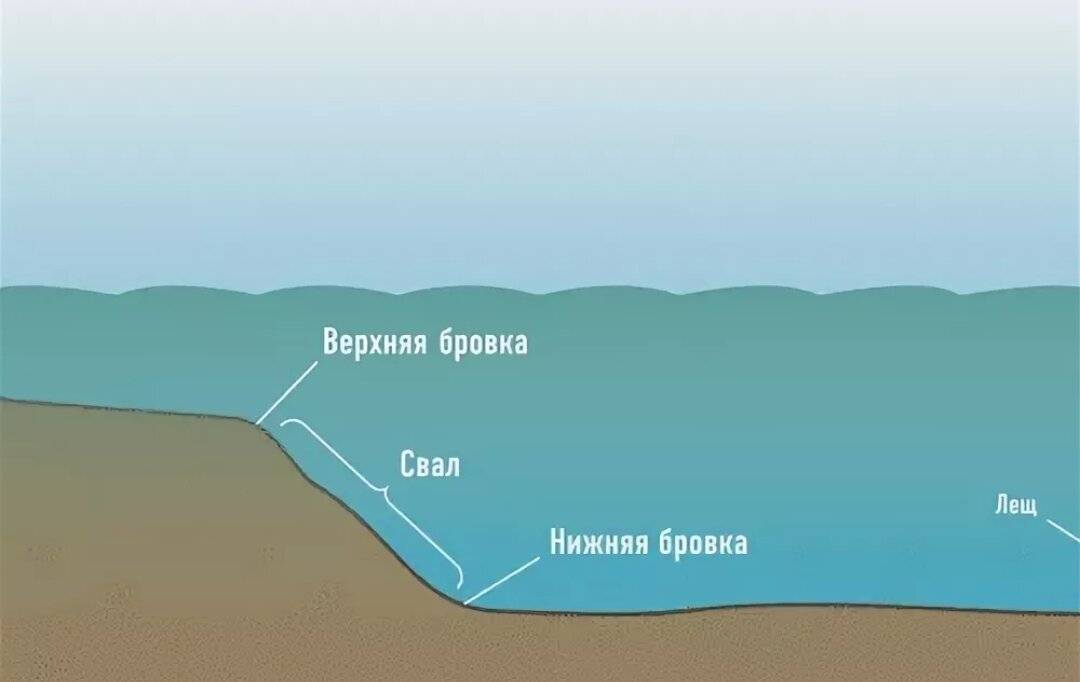 Смотрим под воду: правильное определение ям, глубин, мест обитания и кормления рыб