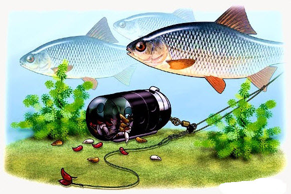 Советы для рыбалки – секреты и полезные советы рыбакам