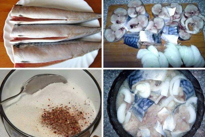5 вкусных рецептов засолки рыбы в домашних условиях